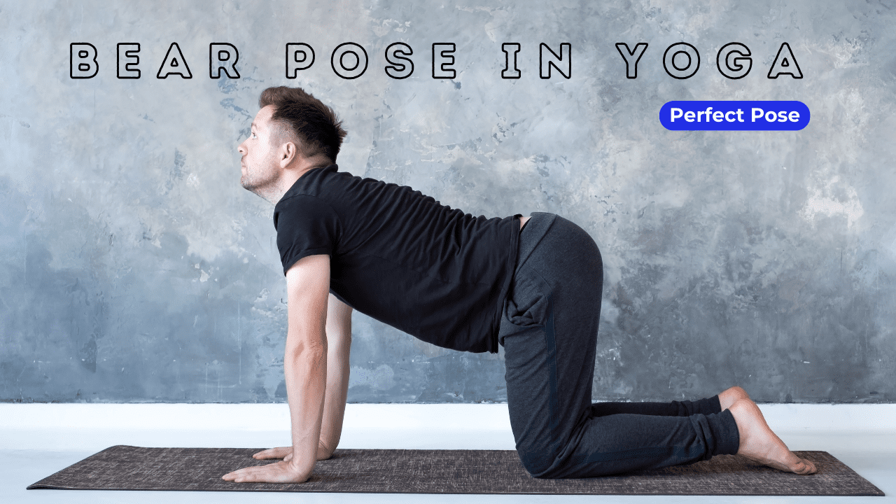 Bear Pose in Yoga