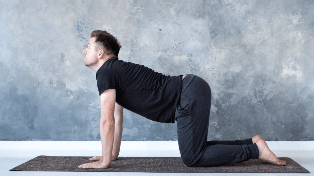 Bear Pose in Yoga