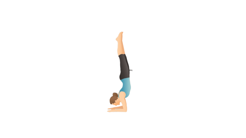 Forearm Stand