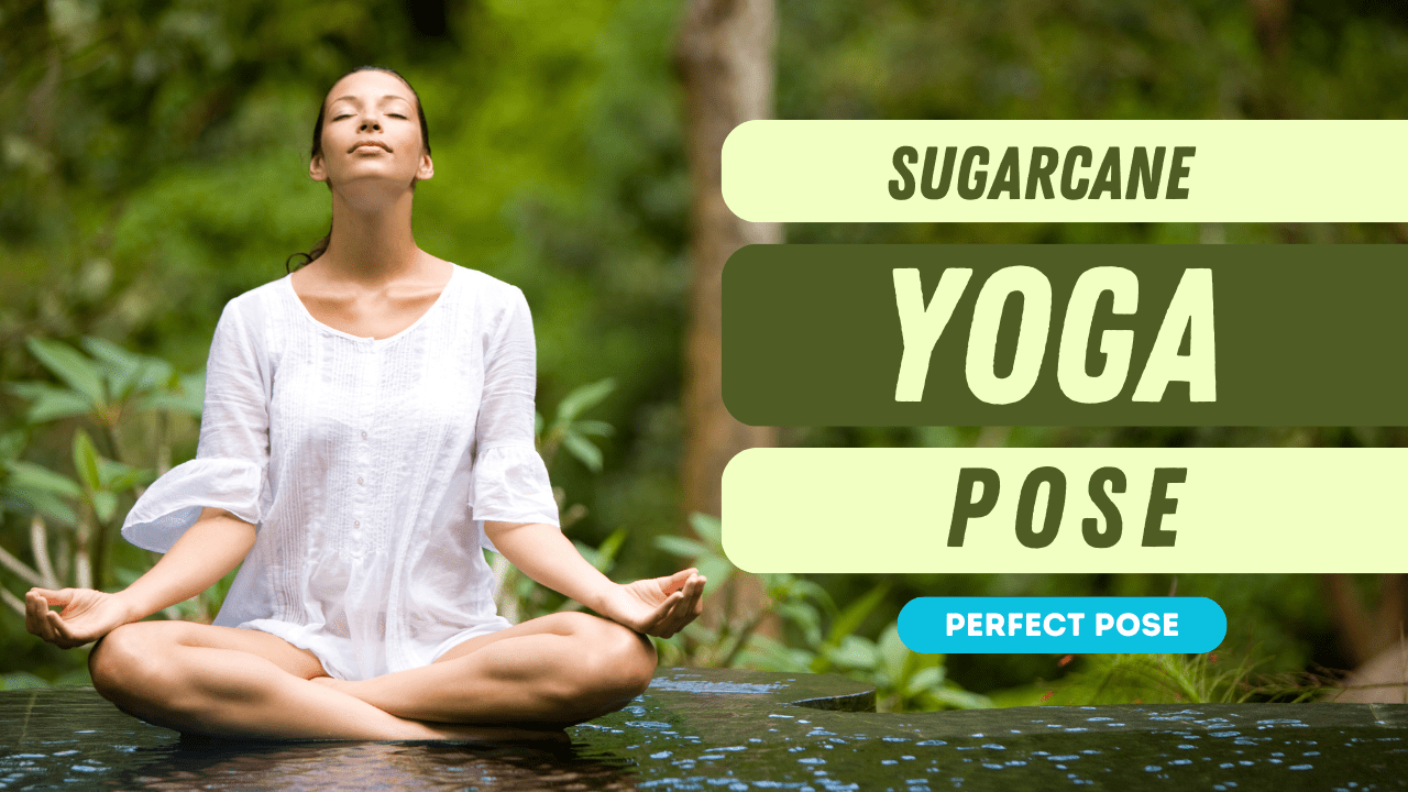 Sugarcane Yoga Pose