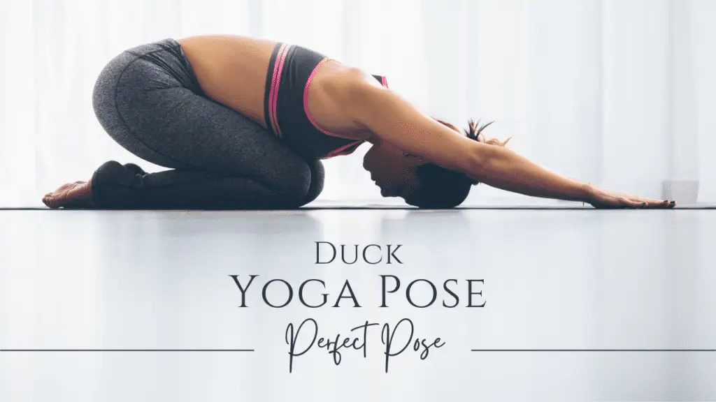 Yoga Duck Pose